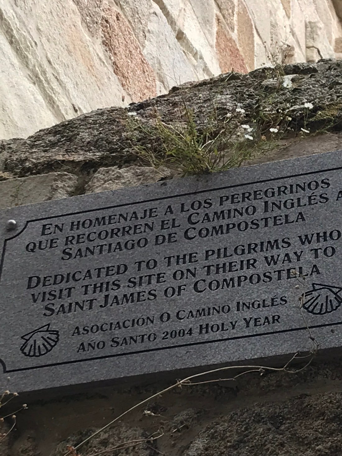 DA354D96-788F-4F56-8DE5-17D6254E6B10